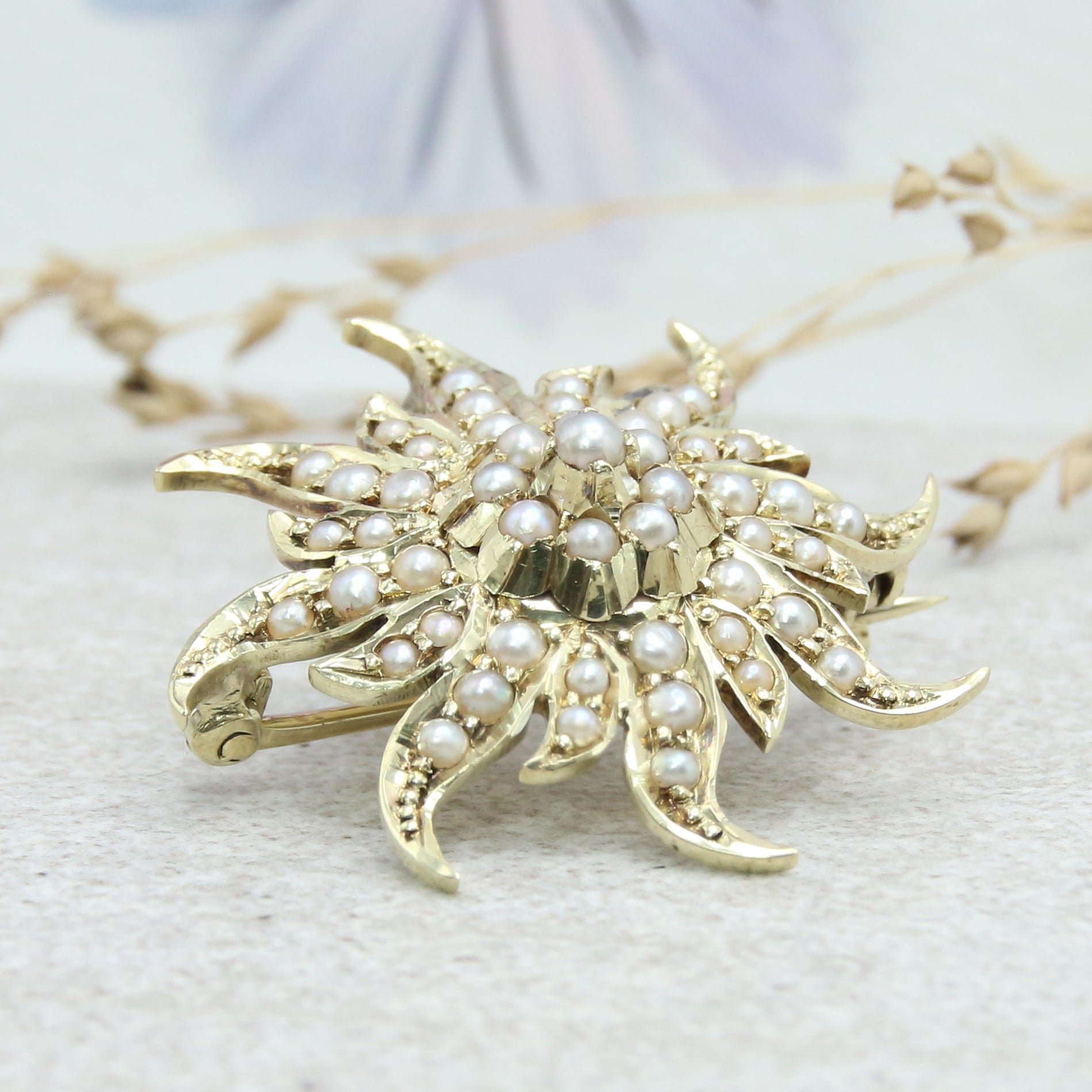 Seed pearl best sale brooch