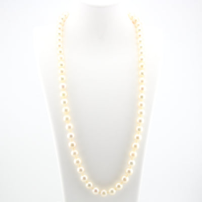 Pearl necklace