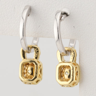 Two Toned Earrings